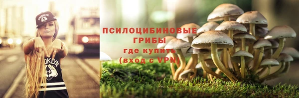 бошки Алзамай