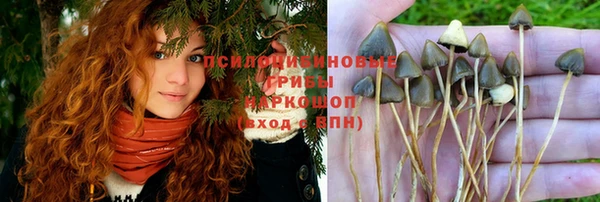 дмт Данков