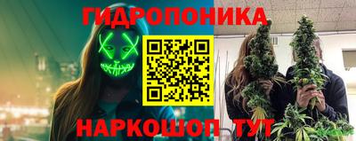 метадон Гусев