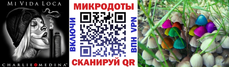 как найти закладки  Дубна  Галлюциногенные грибы Psilocybe 