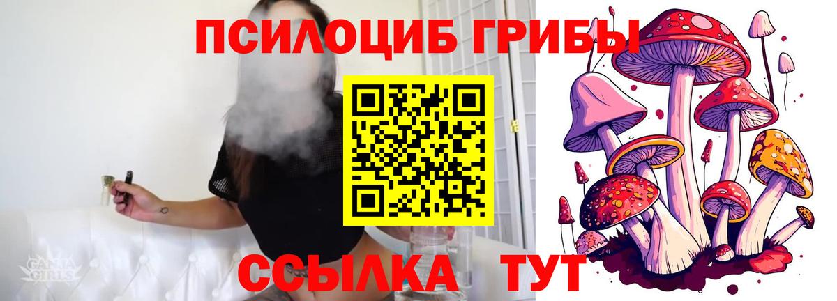 Псилоцибиновые грибы мицелий Дубна